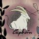Capricorn 101: Guide to the Personal, Professional, and Spiritual Lives of Capricorns