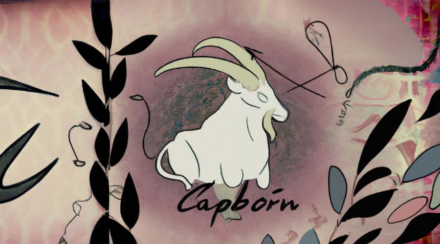 Capricorn guide to the Personal, Professional, and Spiritual Lives of Scorpius